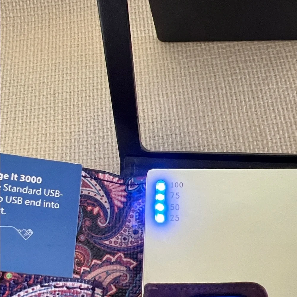 Halo elegant charger